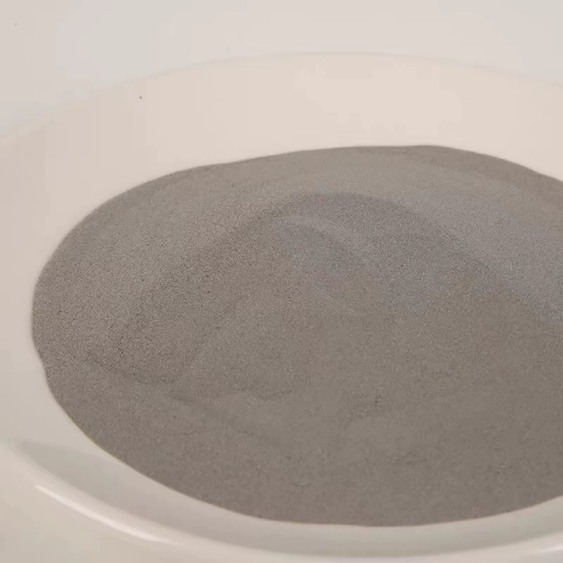 ผงสแตนเลส 304 ขนาด 500 กรัม สำ - 3D Printing On Fabric บทวิจารณ์และราคา