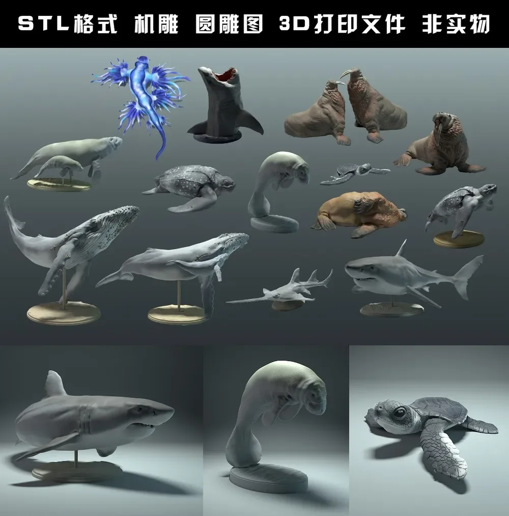 สัตว์, หมีขั้วโลก, Takin, หมาป - 3D Printing File Free บทวิจารณ์และราคา