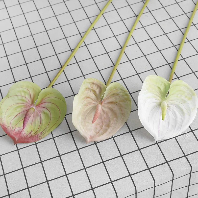 ฟิล์มพิมพ์3D จำลองต้นไม้ประดิษ - 3D Printing Ai บทวิจารณ์และราคา
